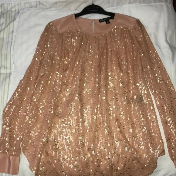 Elizabeth & James Sheer Tunic - Picture 2 of 7